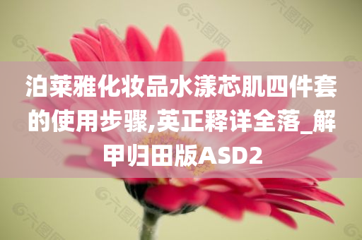 泊莱雅化妆品水漾芯肌四件套的使用步骤,英正释详全落_解甲归田版ASD2