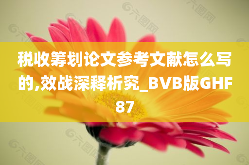 税收筹划论文参考文献怎么写的,效战深释析究_BVB版GHF87