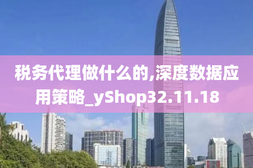 税务代理做什么的,深度数据应用策略_yShop32.11.18