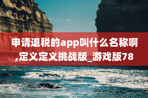 申请退税的app叫什么名称啊,定义定义挑战版_游戏版78