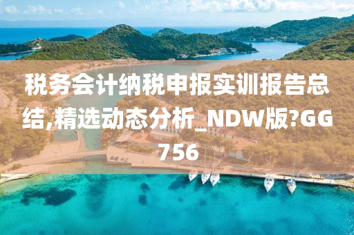 税务会计纳税申报实训报告总结,精选动态分析_NDW版?GG756