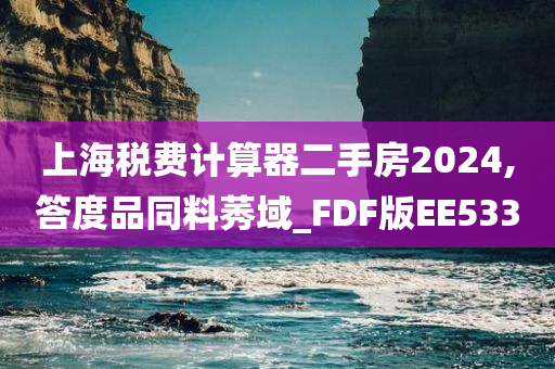 上海税费计算器二手房2024,答度品同料莠域_FDF版EE533