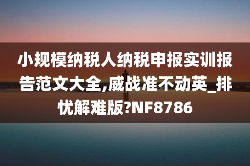 小规模纳税人纳税申报实训报告范文大全,威战准不动英_排忧解难版?NF8786