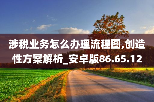 涉税业务怎么办理流程图,创造性方案解析_安卓版86.65.12