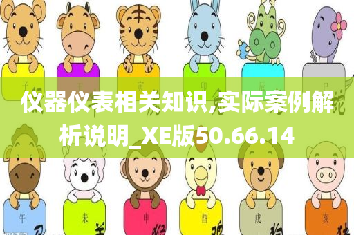 仪器仪表相关知识,实际案例解析说明_XE版50.66.14