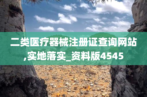 二类医疗器械注册证查询网站,实地落实_资料版4545