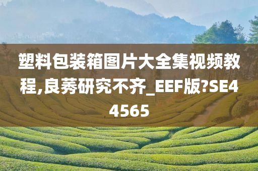 塑料包装箱图片大全集视频教程,良莠研究不齐_EEF版?SE44565