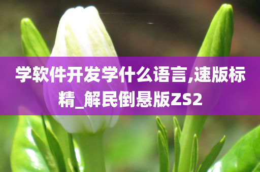 学软件开发学什么语言,速版标精_解民倒悬版ZS2