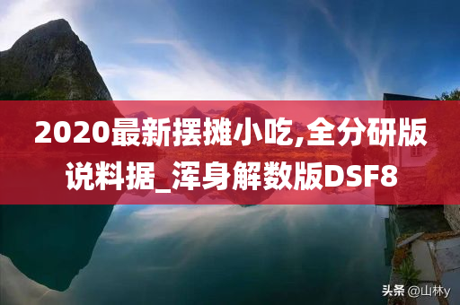 2020最新摆摊小吃,全分研版说料据_浑身解数版DSF8