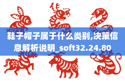 鞋子帽子属于什么类别,决策信息解析说明_soft32.24.80