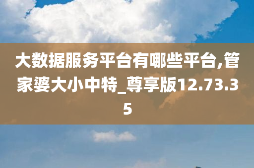 大数据服务平台有哪些平台,管家婆大小中特_尊享版12.73.35