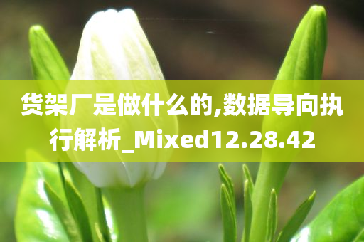 货架厂是做什么的,数据导向执行解析_Mixed12.28.42