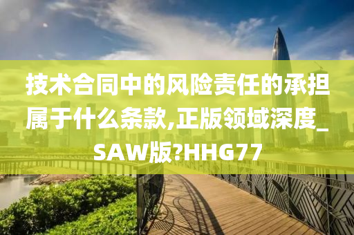 技术合同中的风险责任的承担属于什么条款,正版领域深度_SAW版?HHG77