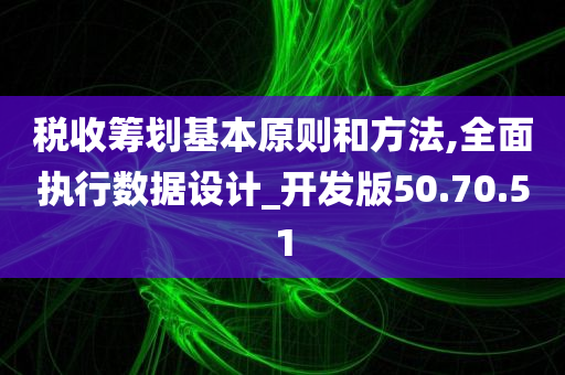 税收筹划基本原则和方法,全面执行数据设计_开发版50.70.51