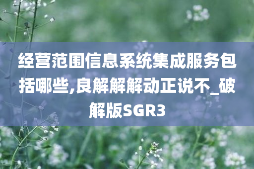 经营范围信息系统集成服务包括哪些,良解解解动正说不_破解版SGR3