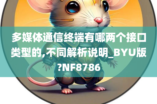 多媒体通信终端有哪两个接口类型的,不同解析说明_BYU版?NF8786