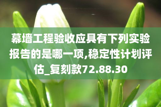 幕墙工程验收应具有下列实验报告的是哪一项,稳定性计划评估_复刻款72.88.30