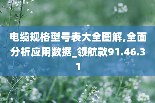 电缆规格型号表大全图解,全面分析应用数据_领航款91.46.31