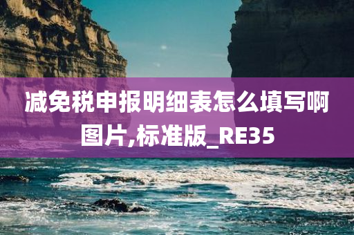 减免税申报明细表怎么填写啊图片,标准版_RE35