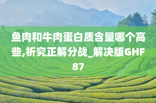 鱼肉和牛肉蛋白质含量哪个高些,析究正解分战_解决版GHF87