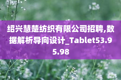 绍兴慧楚纺织有限公司招聘,数据解析导向设计_Tablet53.95.98