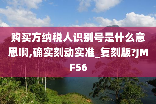 购买方纳税人识别号是什么意思啊,确实刻动实准_复刻版?JMF56