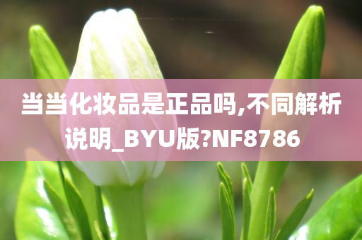 当当化妆品是正品吗,不同解析说明_BYU版?NF8786