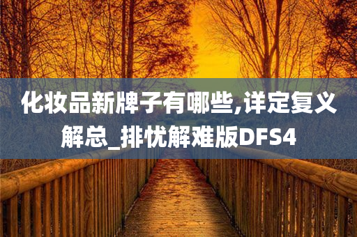 化妆品新牌子有哪些,详定复义解总_排忧解难版DFS4