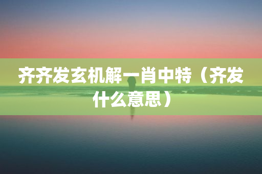 齐齐发玄机解一肖中特（齐发什么意思）