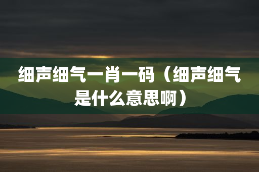 细声细气一肖一码（细声细气是什么意思啊）