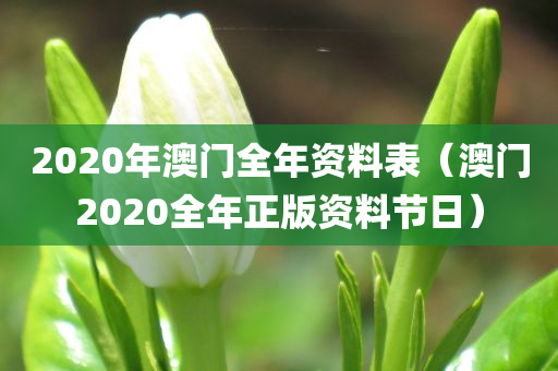 2020年澳门全年资料表（澳门2020全年正版资料节日）