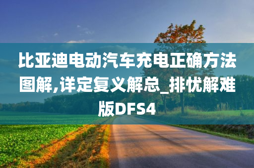 比亚迪电动汽车充电正确方法图解,详定复义解总_排忧解难版DFS4