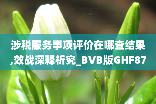 涉税服务事项评价在哪查结果,效战深释析究_BVB版GHF87