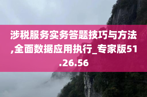 涉税服务实务答题技巧与方法,全面数据应用执行_专家版51.26.56