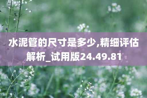 水泥管的尺寸是多少,精细评估解析_试用版24.49.81