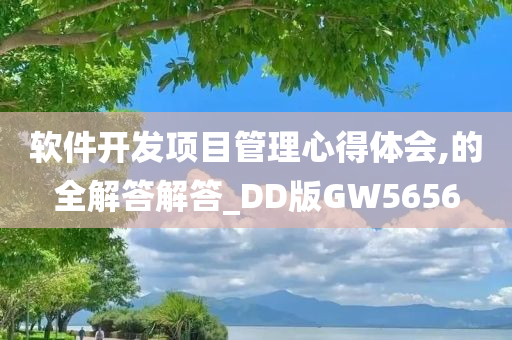 软件开发项目管理心得体会,的全解答解答_DD版GW5656