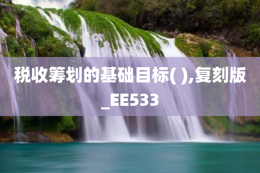 税收筹划的基础目标( ),复刻版_EE533