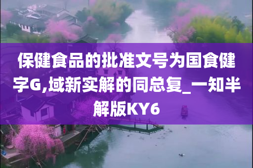 保健食品的批准文号为国食健字G,域新实解的同总复_一知半解版KY6