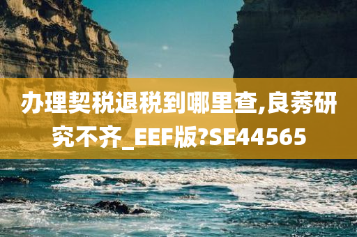 办理契税退税到哪里查,良莠研究不齐_EEF版?SE44565