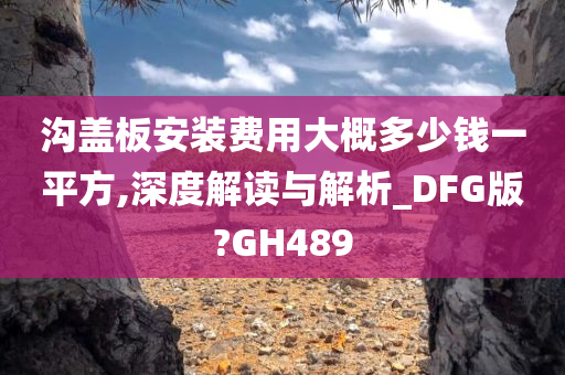 沟盖板安装费用大概多少钱一平方,深度解读与解析_DFG版?GH489