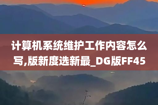 计算机系统维护工作内容怎么写,版新度选新最_DG版FF45