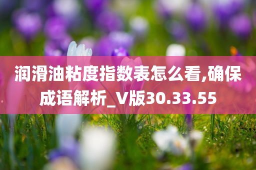 润滑油粘度指数表怎么看,确保成语解析_V版30.33.55