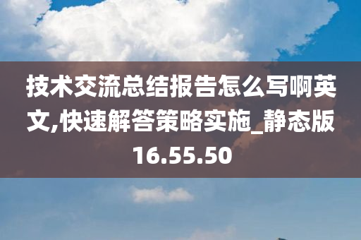 技术交流总结报告怎么写啊英文,快速解答策略实施_静态版16.55.50