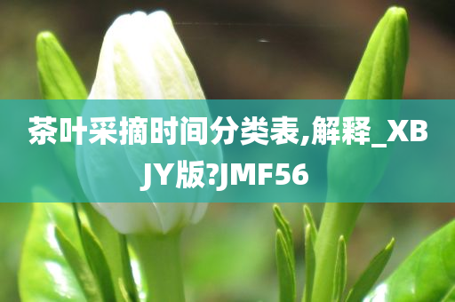 茶叶采摘时间分类表,解释_XBJY版?JMF56