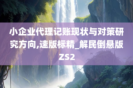 小企业代理记账现状与对策研究方向,速版标精_解民倒悬版ZS2