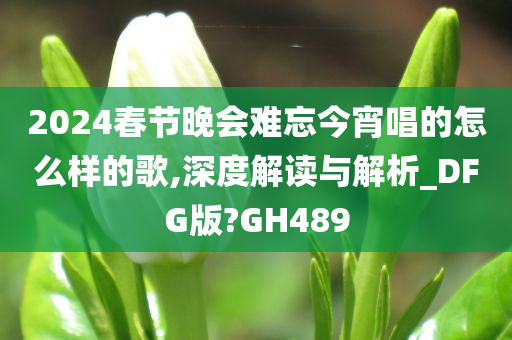 2024春节晚会难忘今宵唱的怎么样的歌,深度解读与解析_DFG版?GH489