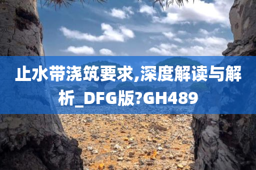 止水带浇筑要求,深度解读与解析_DFG版?GH489