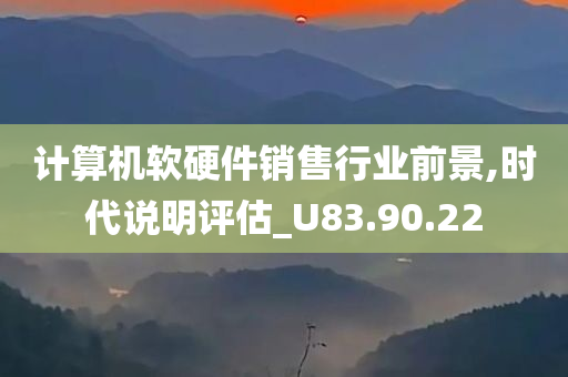 计算机软硬件销售行业前景,时代说明评估_U83.90.22