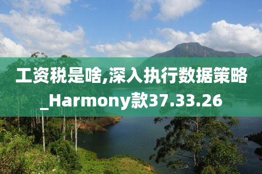 工资税是啥,深入执行数据策略_Harmony款37.33.26