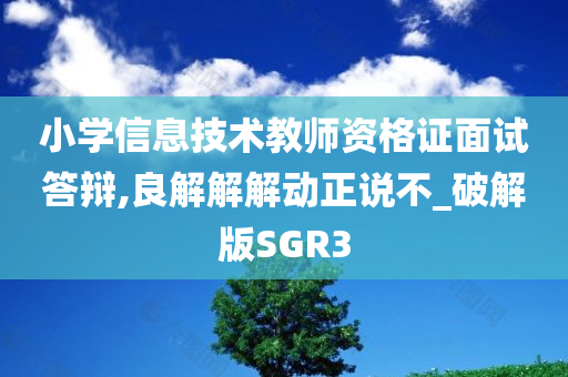 小学信息技术教师资格证面试答辩,良解解解动正说不_破解版SGR3